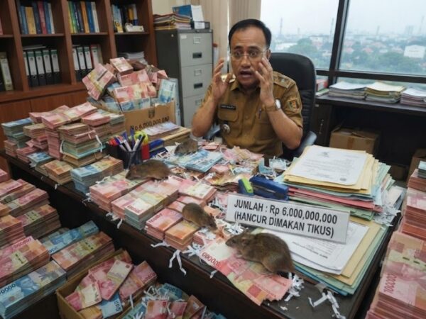 Data Pengadaan BPKAD Lampung Dibongkar! Publik Layak Tahu Faktanya
