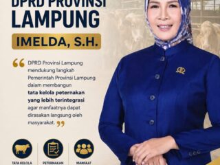 DPRD Lampung Dorong Ekosistem Peternak Telur, Pasokan Pangan Bergizi Meningkat dan Pendapatan Peternak Naik
